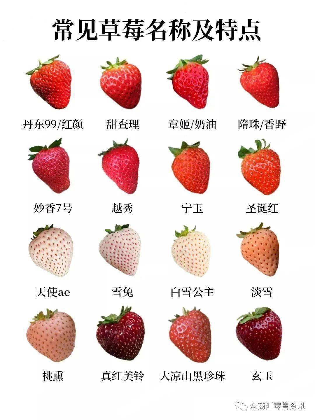 常见草莓售卖知识