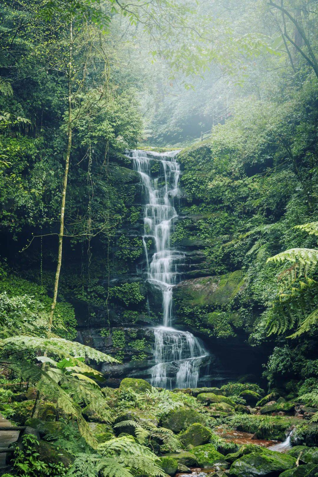 上春山茶花旅│来遵义赤晚饭攻略