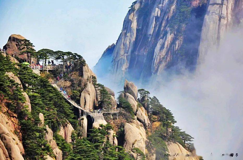 春游江南8醉黄山