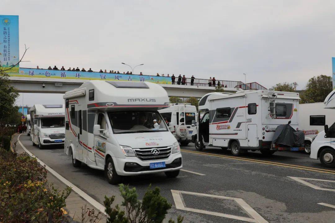 自驾游汉中露营驻花海全国自驾车集结活动在汉中这里启动