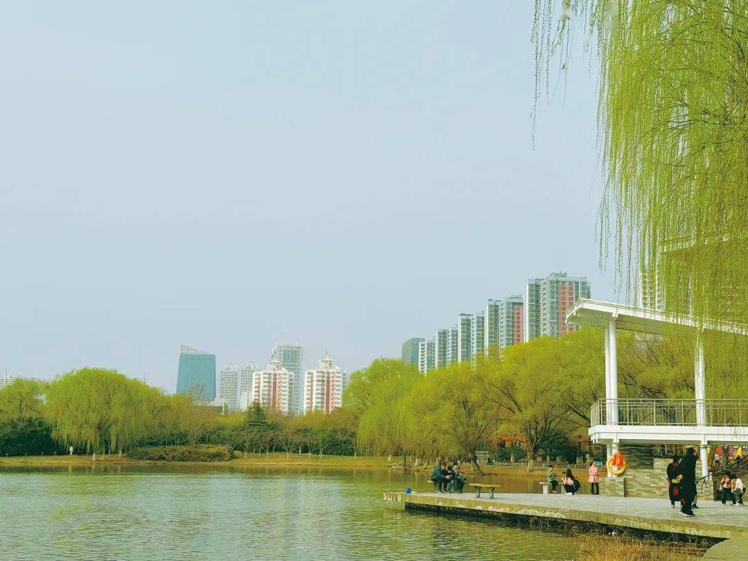 冷空气难阻春天脚步邯郸市区率先完成入春