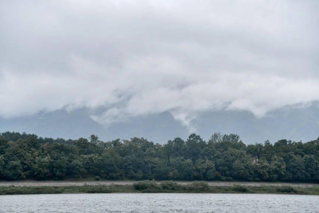 22℃→5℃→25℃ 桐庐气温"过山车"又启动了……_冷空气_天气_浙江省