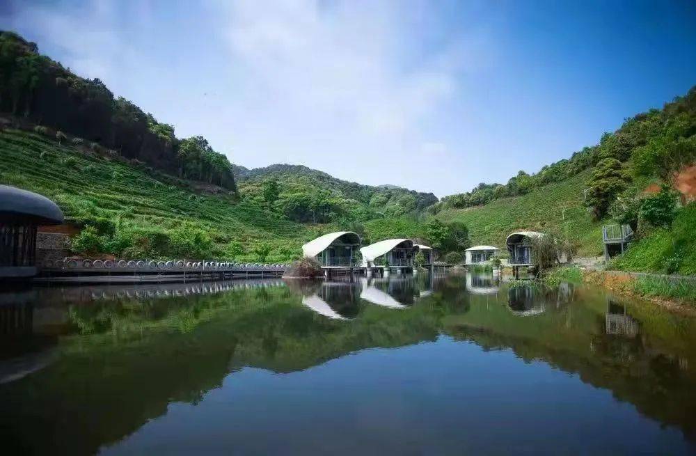 鹰峰茶谷庄园内有茶园,菜园,鱼塘,四季花木繁茂,果实多样.