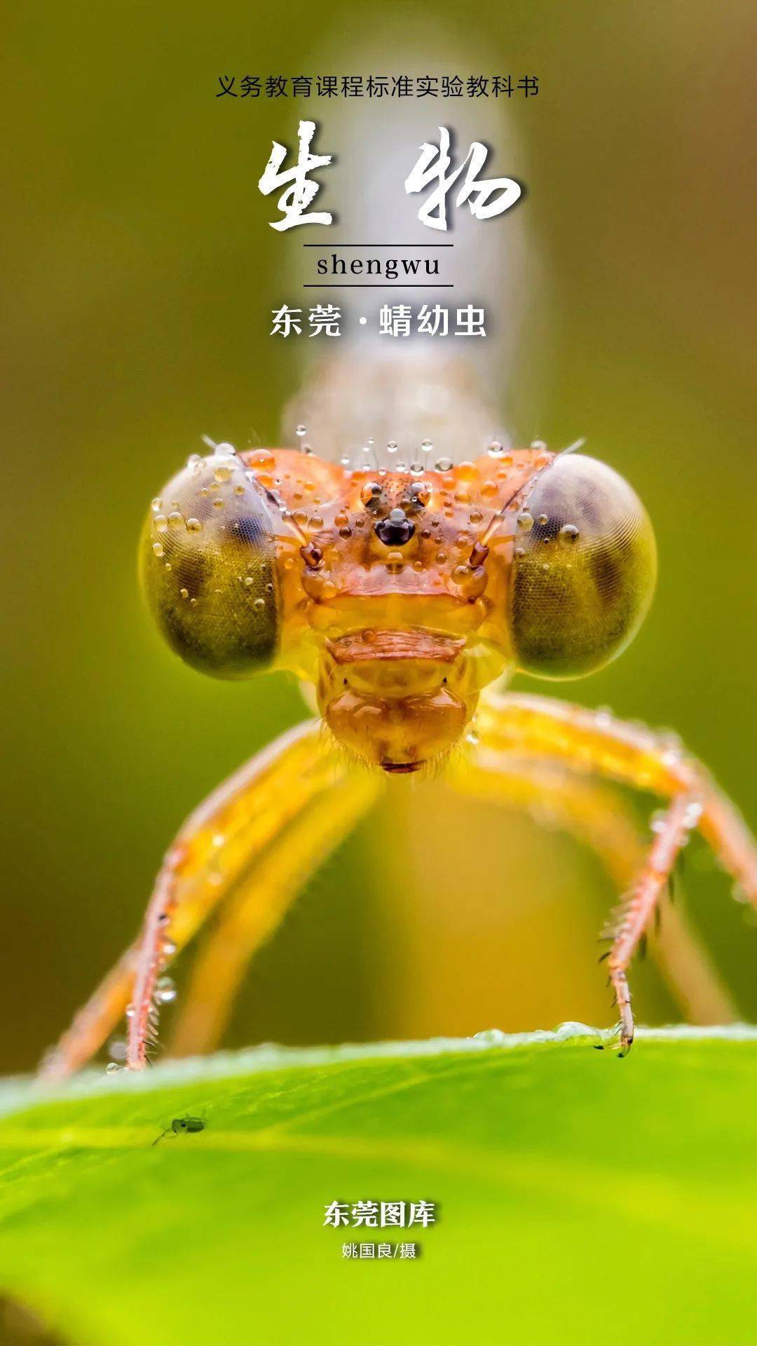 在制造业名城也有诗画般的生物爱丽丝奇境