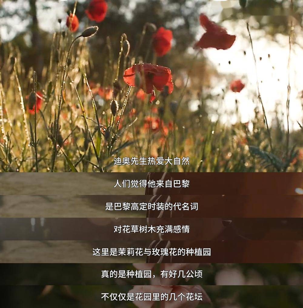 在这里,弗朗西斯仿佛跨越时空,与迪奥先生有了更深层的精神交流.