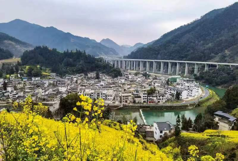 歙县武阳乡举办花海美食节