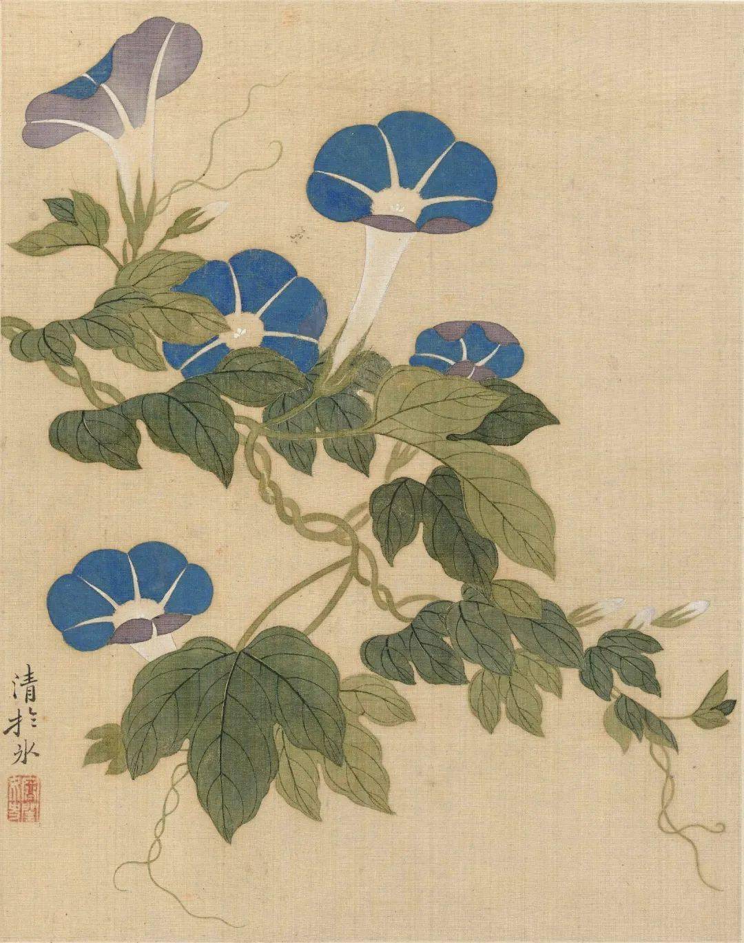 十帧没骨花卉,妍雅可喜_国画_南田_恽冰