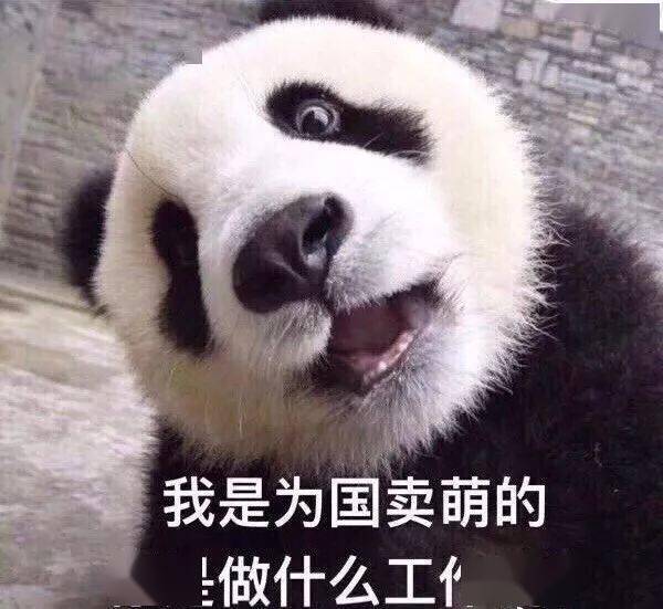 戴个牙冠多么重要国宝大熊猫做根管治疗补了牙还戴上了牙套