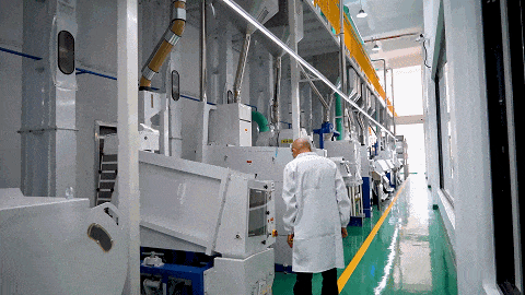 "上海盛致农副产品有限公司负责人陈建宇说,经过常规加工后的大米