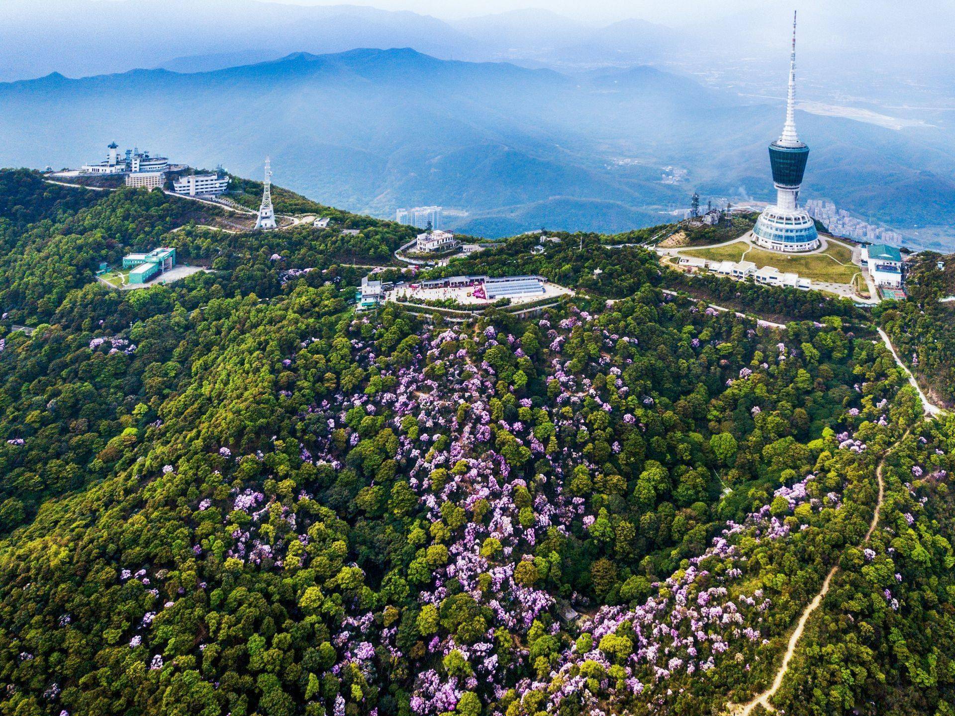 摄影:邓飞当前,深圳正加速布局天空之城