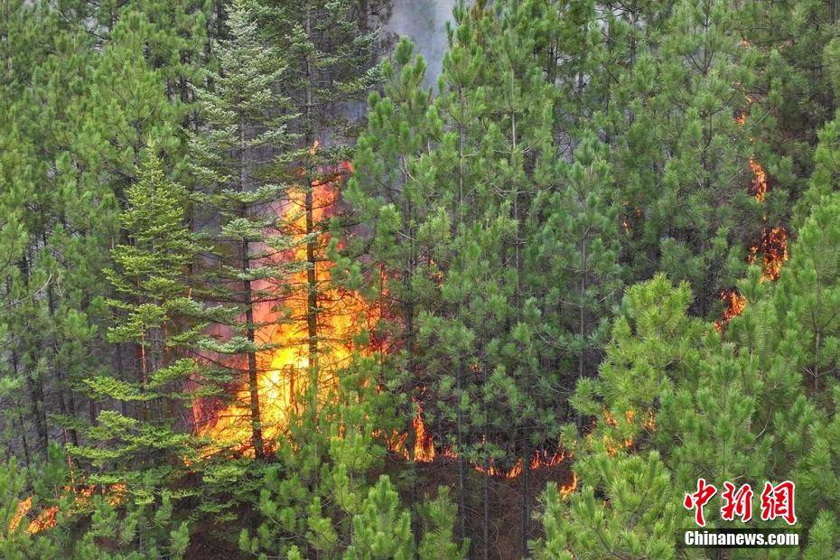 四川雅江森林火灾扑救工作进展顺利_刘忠俊_凉山_火场