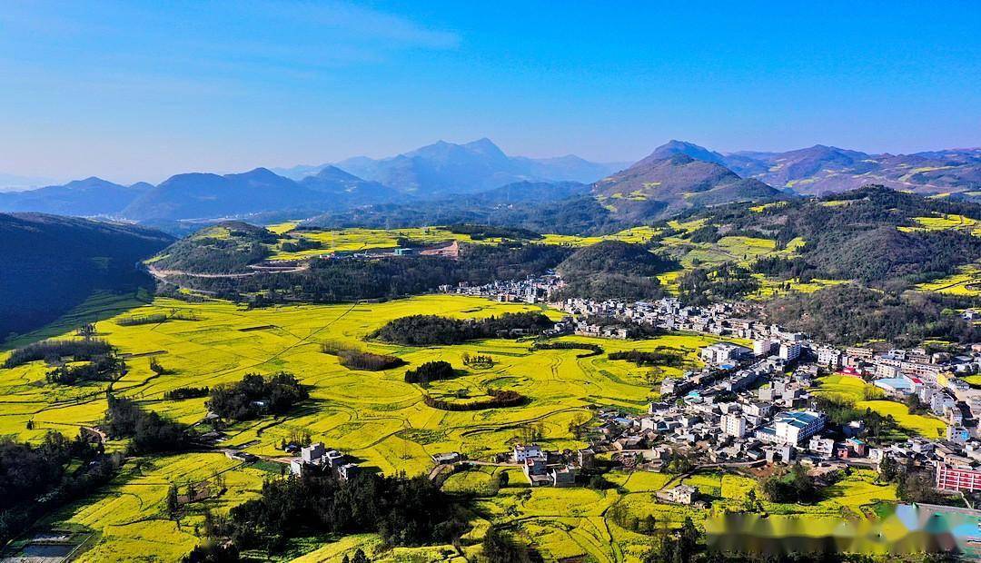 罗平螺丝田位于云南曲靖罗平县城西北十公里处的牛街,所以也有"牛街"