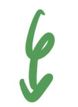 北京疾控提醒您今日花粉浓度极高如何做好防护