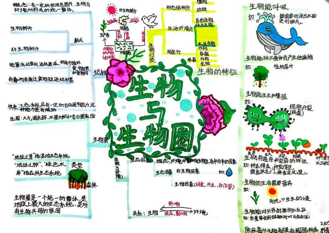 这次生物特色寒假作业得到同学们的积极响应,学生们用自己的智慧和