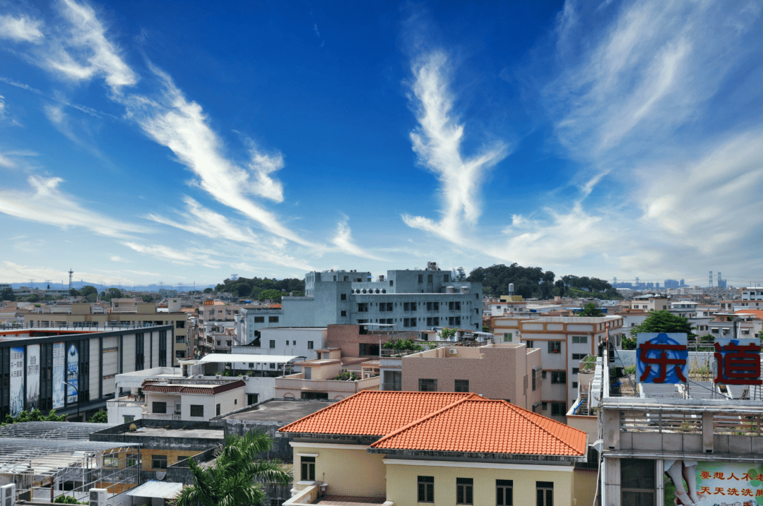 中山这个镇靠什么?_古镇_灯光_海洲