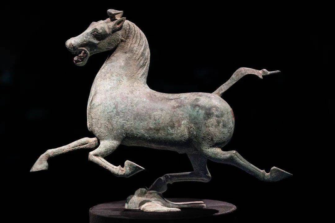 动物考古学家袁靖入坑三十年细讲那些精彩瞬间访谈