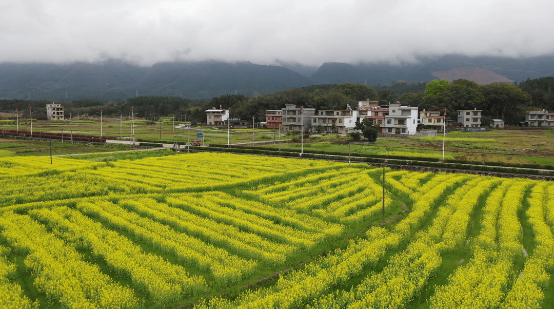 桂林千家峒风景区图片