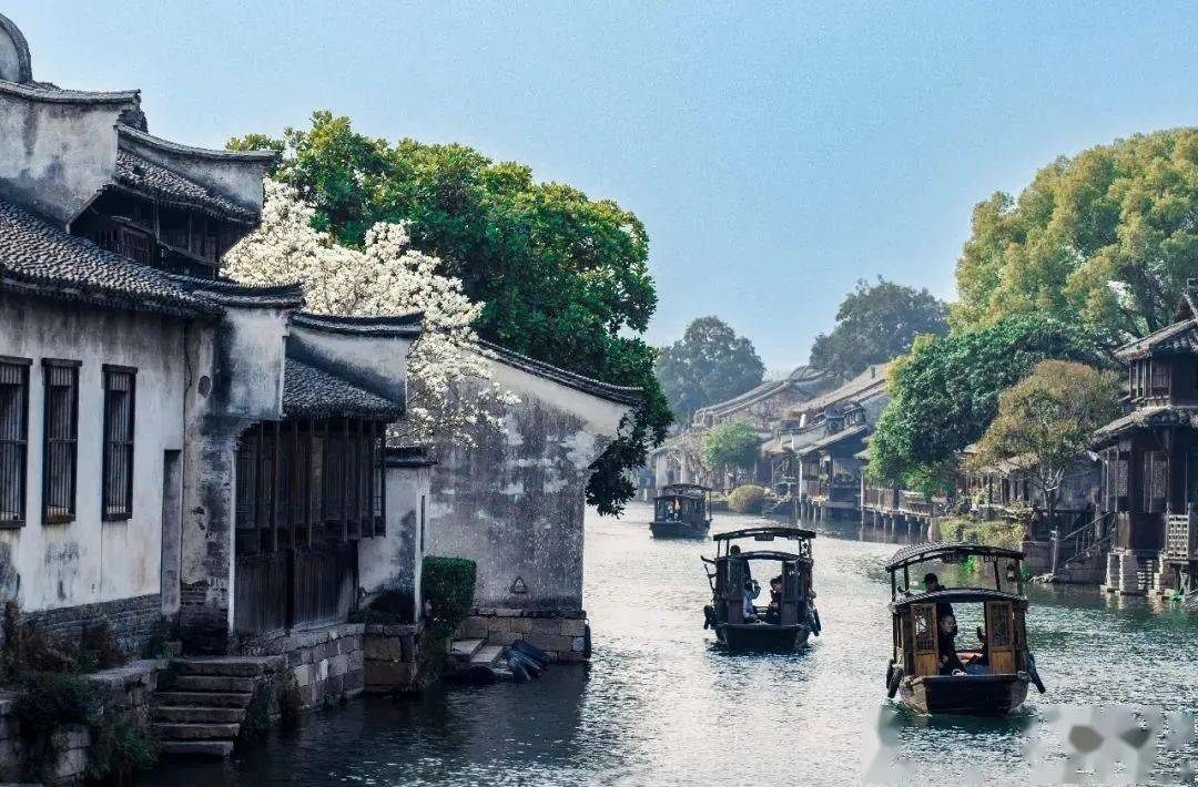 千万级核心大景区桐乡两地入选