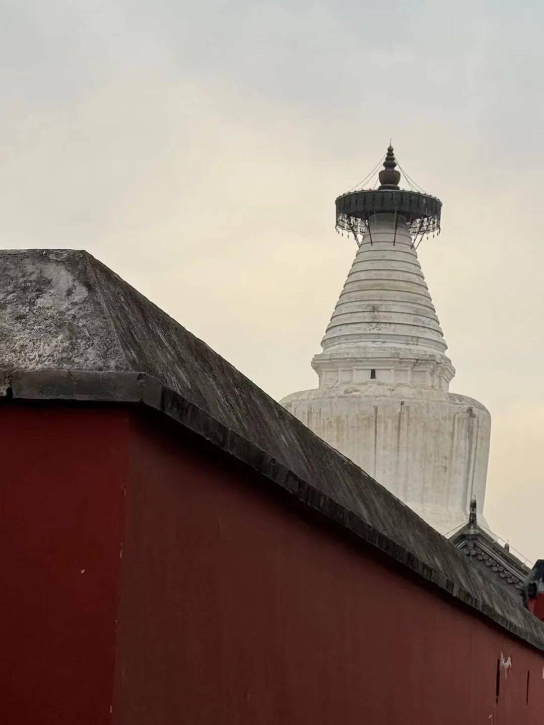 春暖花开,蝴蝶自来_玄德_广济寺_张飞