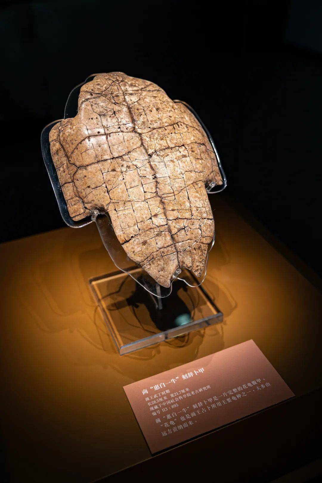 看过《封神榜》,不得不去殷墟博物馆!