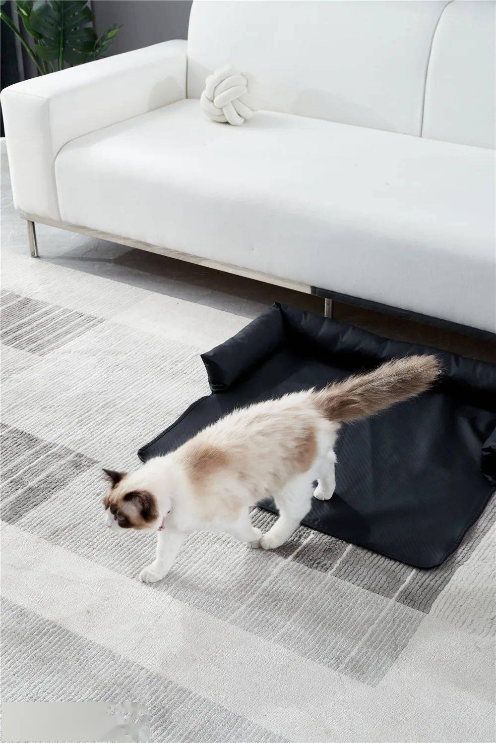 科技布宠物沙发垫,彰显毛孩子的专属座位_fuwmddawh_xejsgb_tk