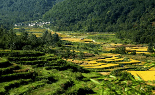 花海>九华天池紫藤花千年古村落石门高:石门高氏家谱记载"西汉居千载
