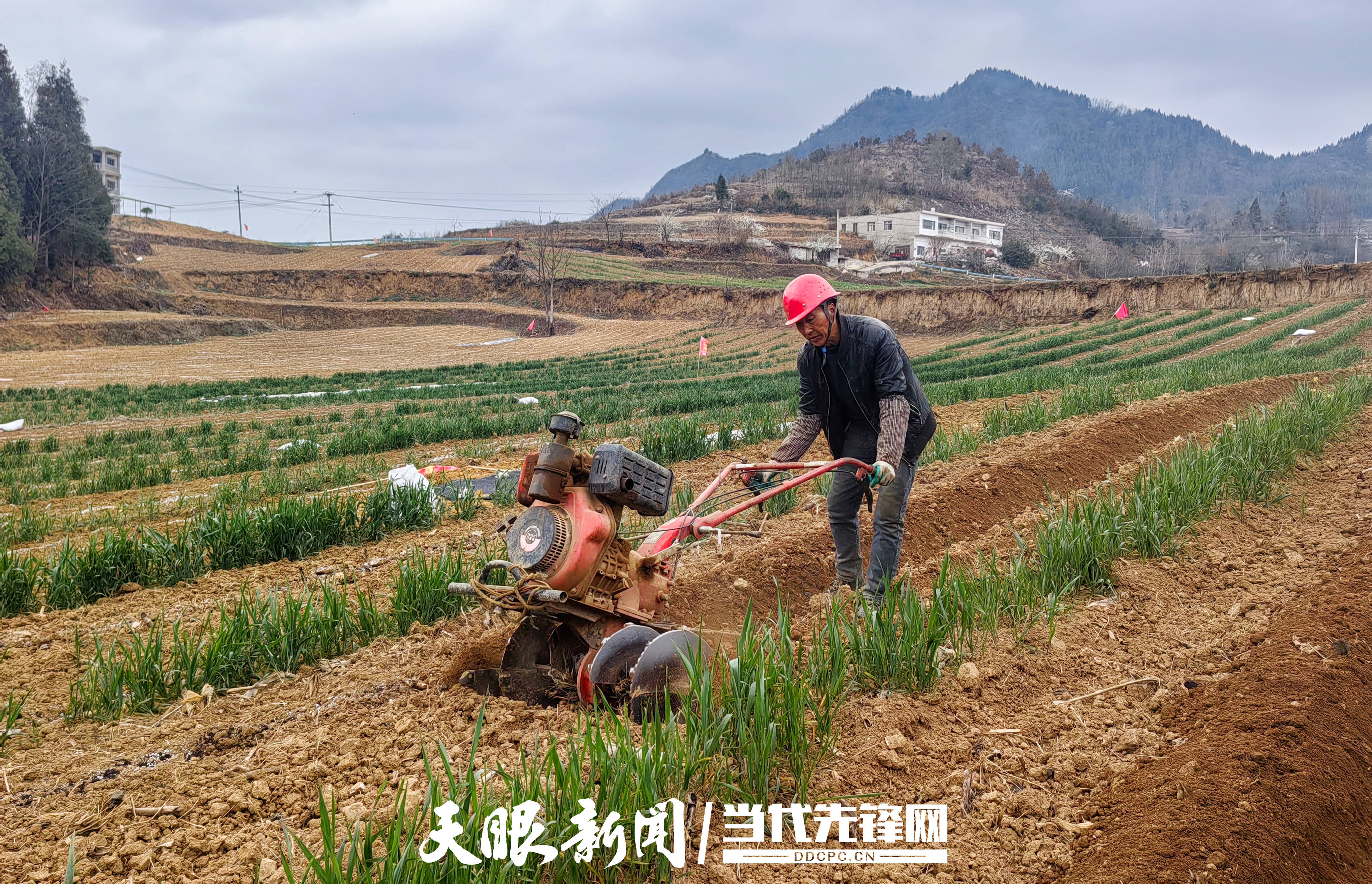 大方核桃乡春耕备耕扎实推进