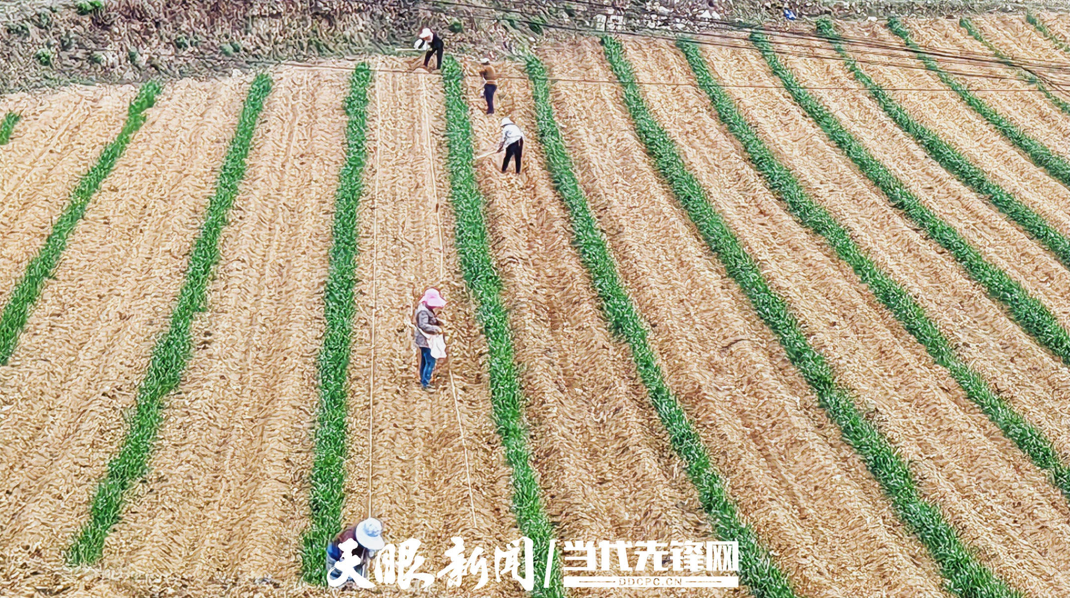 眼下,大方县核桃乡紧盯农事,抢抓农时,春耕备耕工作扎实推进.