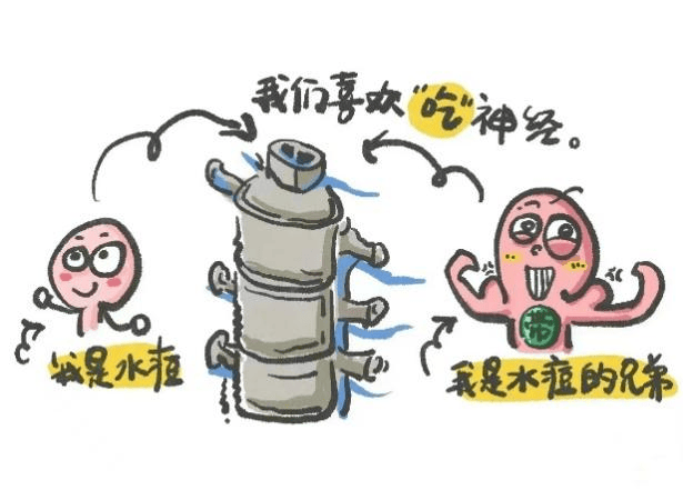 这种病毒是一种"嗜神经性"病毒,它喜欢"吃"神经,被它"咬"了的神经