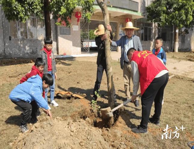 电白马踏开展义务植树活动60多场全民动员扩展绿色版图
