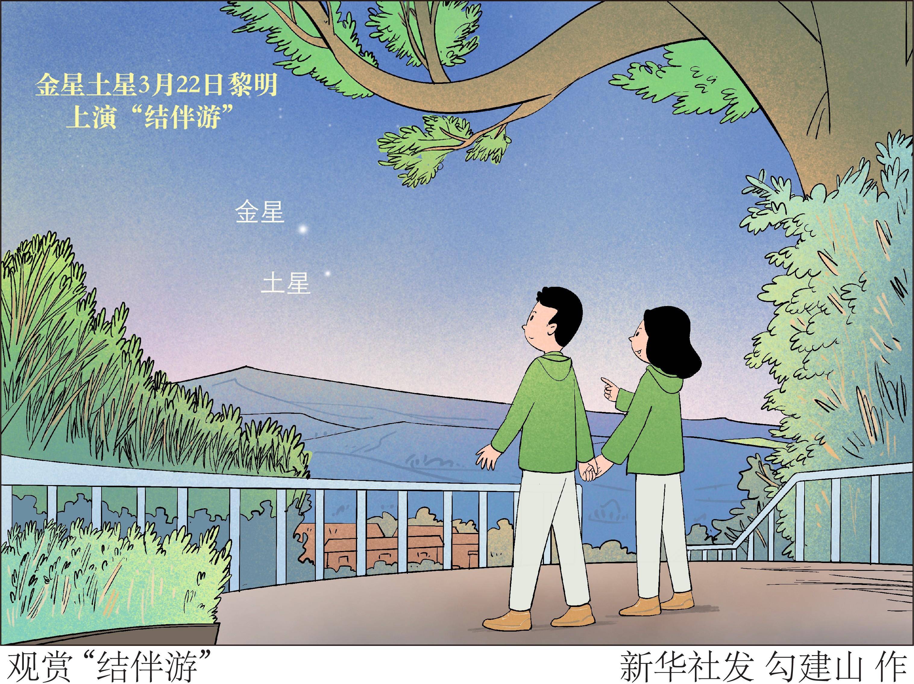 图表插画星空有约观赏结伴游