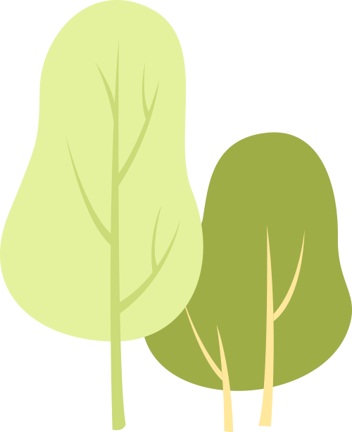 可观赏迎春,梅花,玉兰,樱花,碧桃,紫叶李