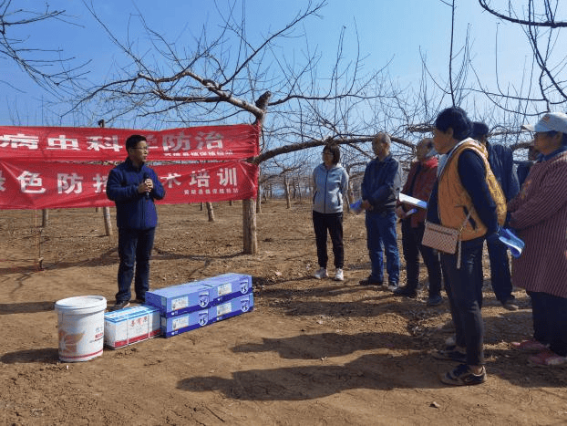 黄陵县农业农村局督帮果农科学清园