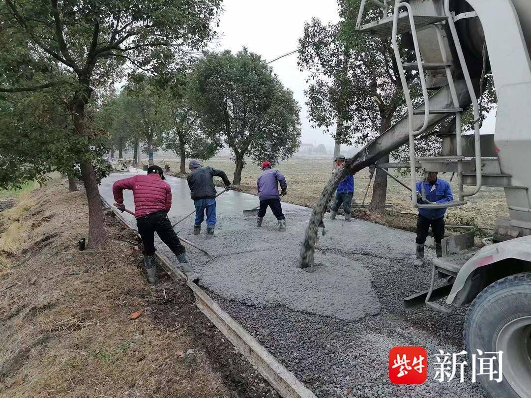 我为群众办实事常熟市董浜镇观智村心系群众脚下路修缮路面解民忧