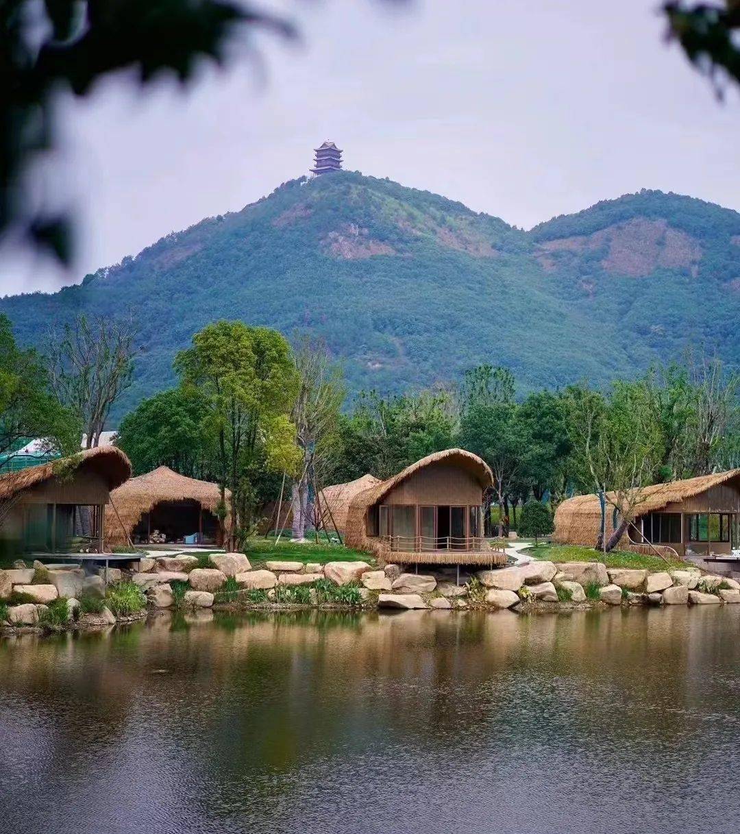 奔跑吧在金华在春天