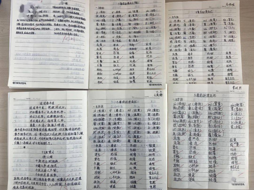 精致管理双提升六年级四班一日作业展