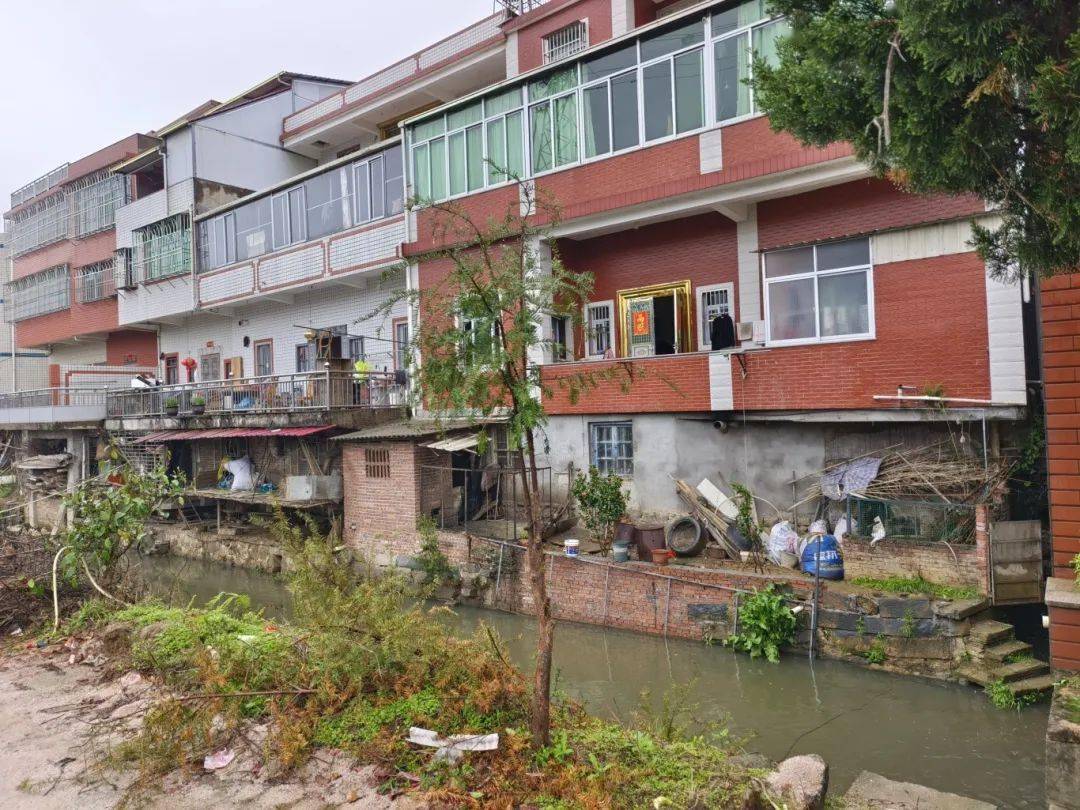 蓬华镇开展蓬华溪流域环保专项整治行动