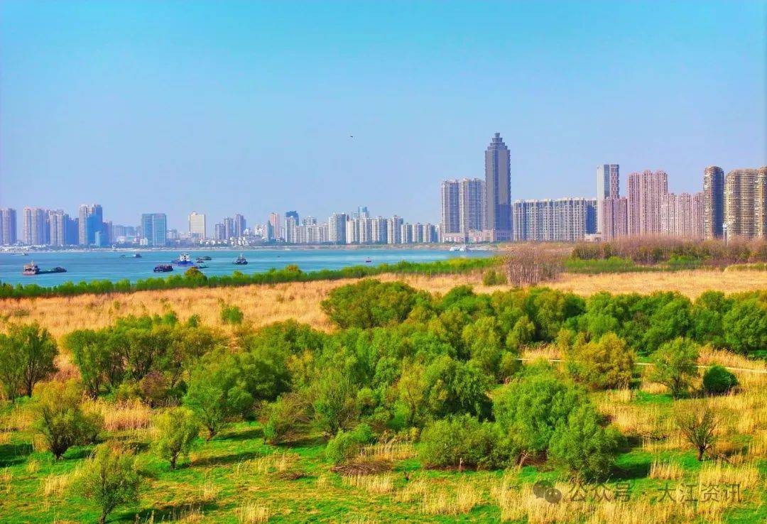 产业专项实施工作积极主动,成效明显的市,县(市,区)拟督查激励名单,在