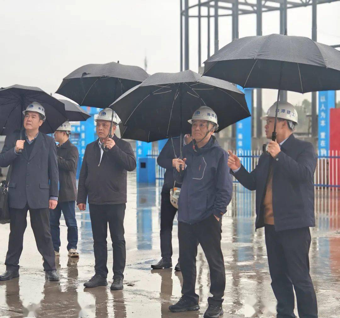 肖伟赴亚洲开发银行贷款湖南低碳城市试点建设项目审计现场调研指导