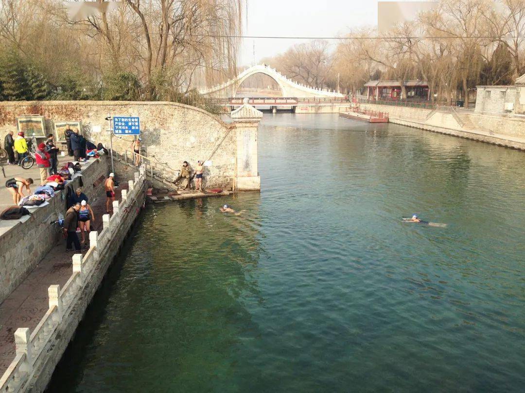 冬泳效果如此显著游过精神抖擞