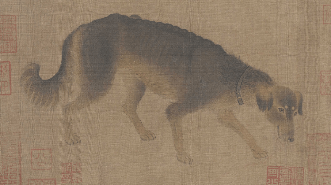 古人一般怎么给宠物命名