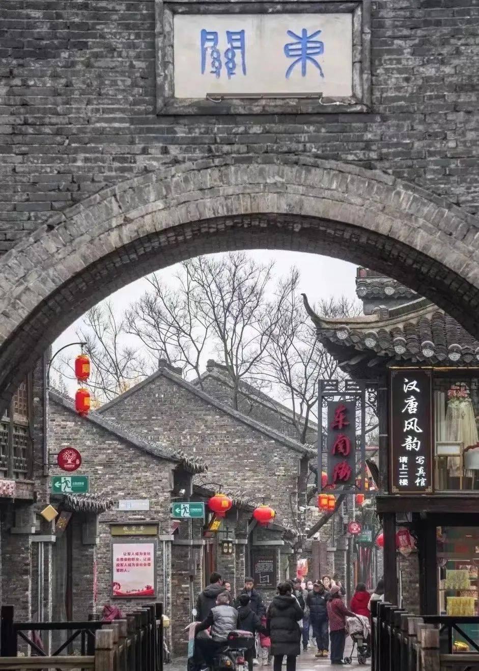 烟花三月醉美扬州329号成团瘦西湖千垛油菜花海李中森林西塘乌镇西栅