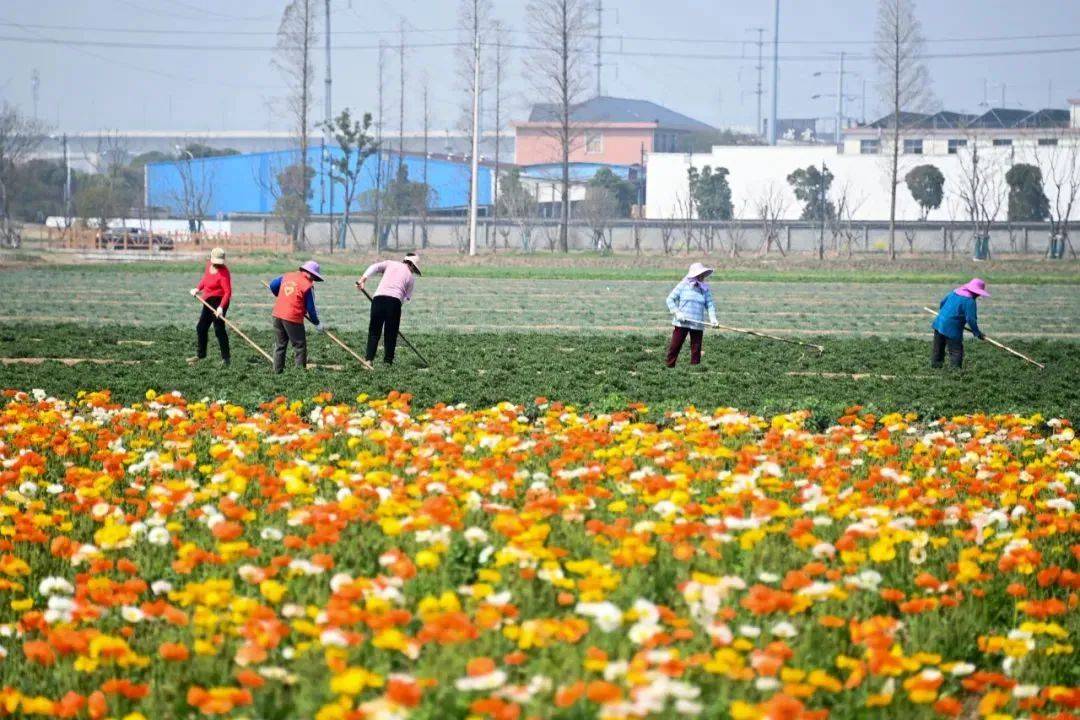 今天11时06分张家港正式进入