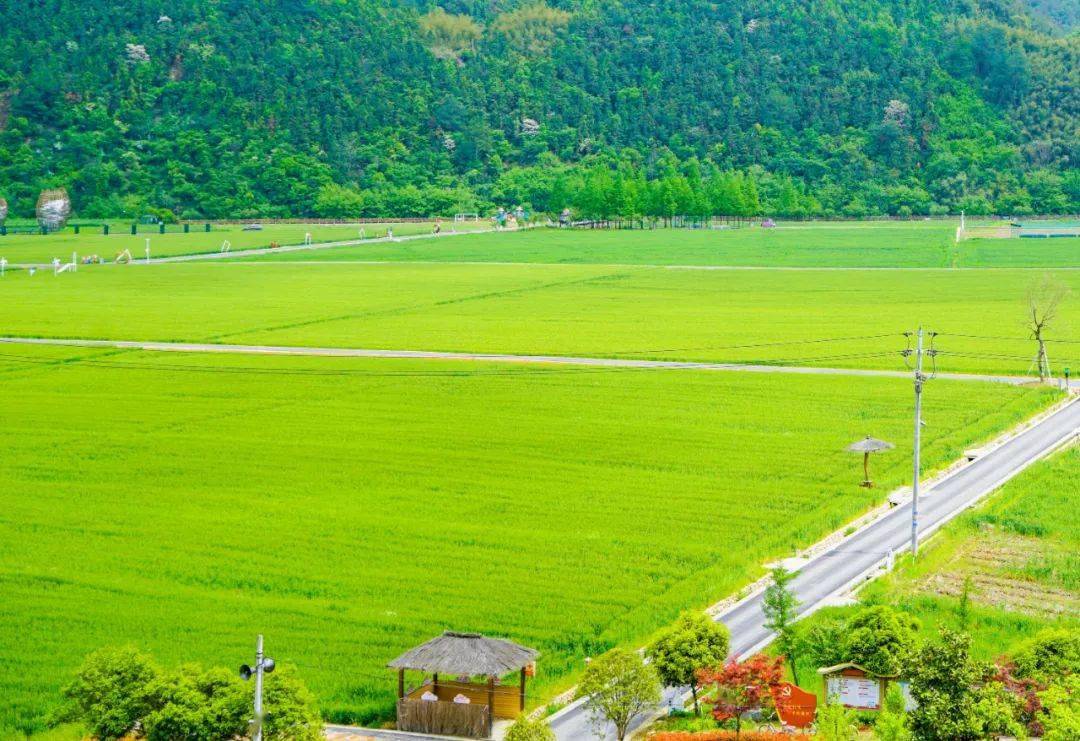 临安这些超"拉风"宝藏地,让你"美上天"~_公园_风筝_草坪
