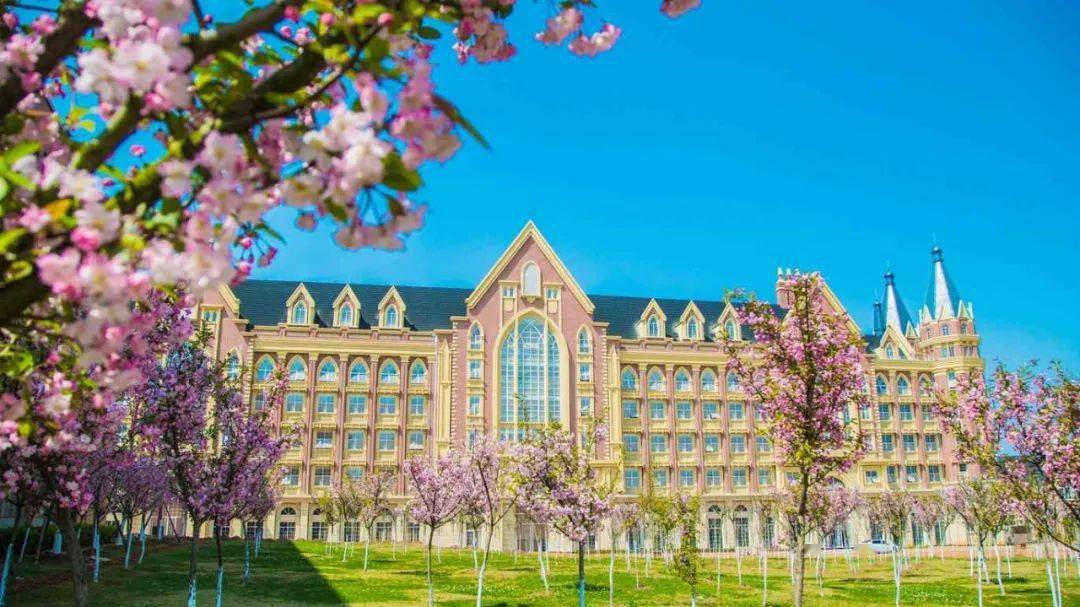 应用技术职业学院共赴一场春日约会在江西南昌,在宁夏银川在江苏南京