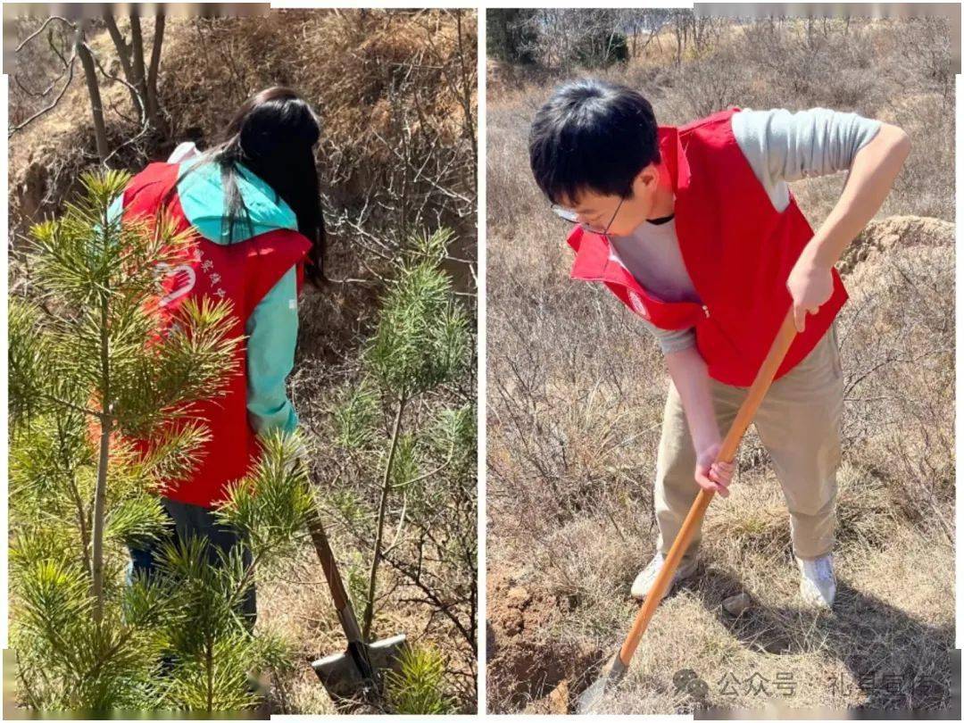不负春光植新绿丨县委宣传部开展义务植树志愿服务活动