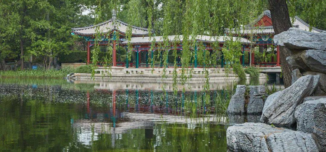 近春园景点的核心景观是被朱自清笔下的"荷塘月色"及其包围着的一座岛