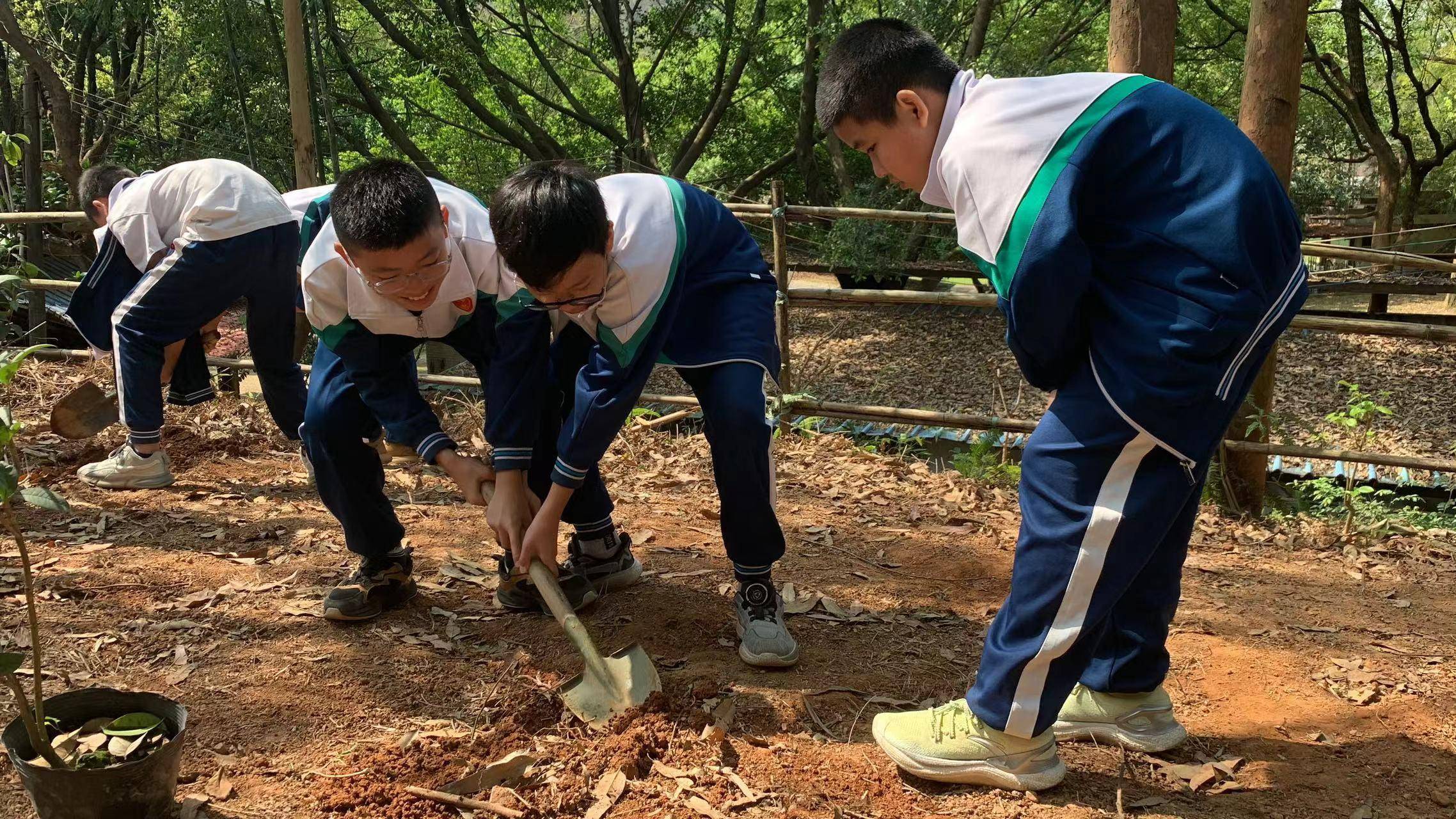 元甲学校图片