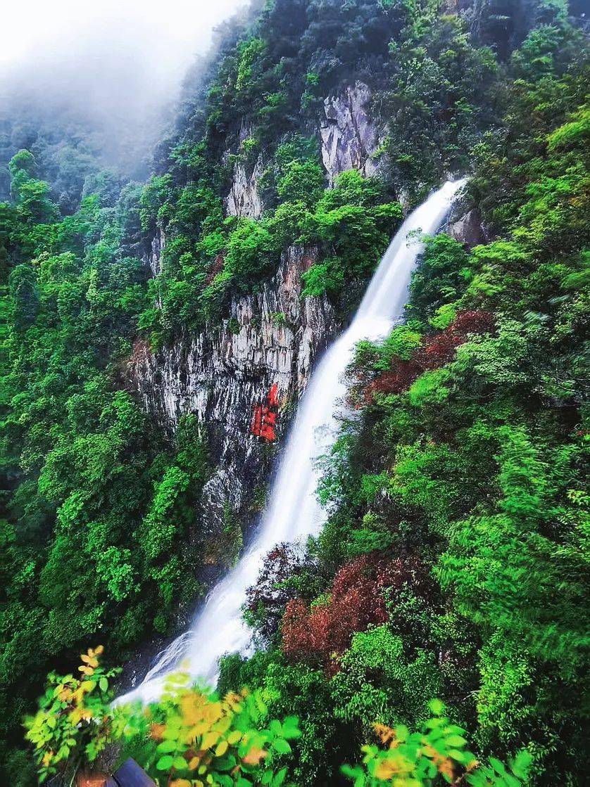 三百山风景名胜区图片