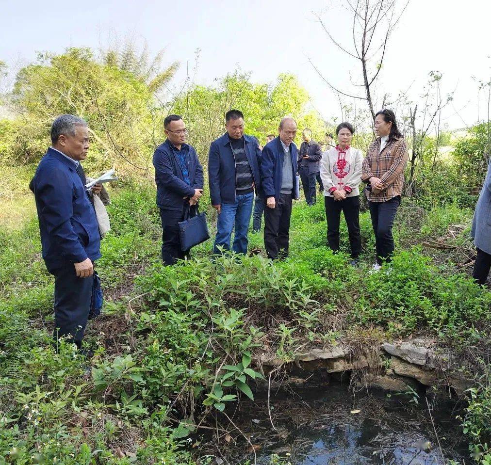 来宾市人大立法调研组到象州开展温泉立法调研